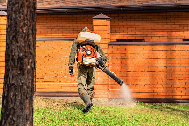 Trusted Termite Control service in Alta, IA - Nex Pest Control